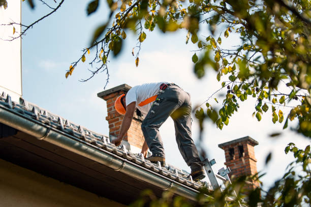 Best Metal Roofing Contractor  in Yazoo City, MS
